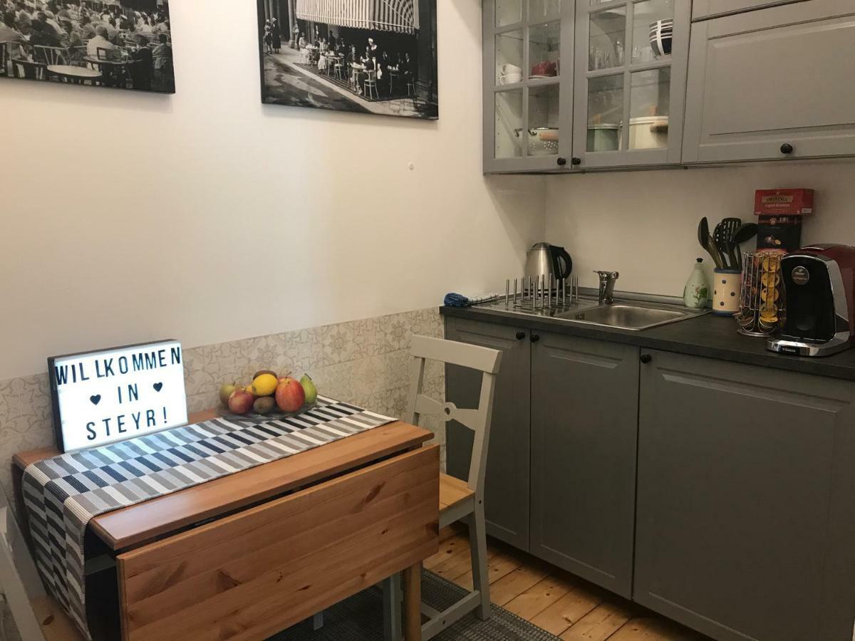 Lovely Flat In A Lovely City Steyr Zewnętrze zdjęcie